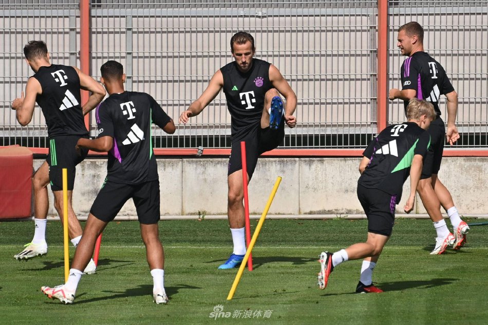 的明星约克 的明星约克