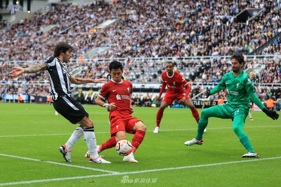 发现新的 发现新的